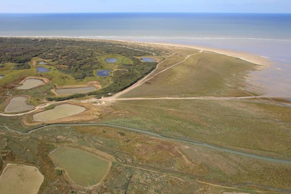 La baie d'Authie